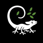 logo SCOP SARL studio vert basilic